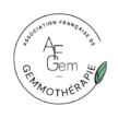 logo AFGEM